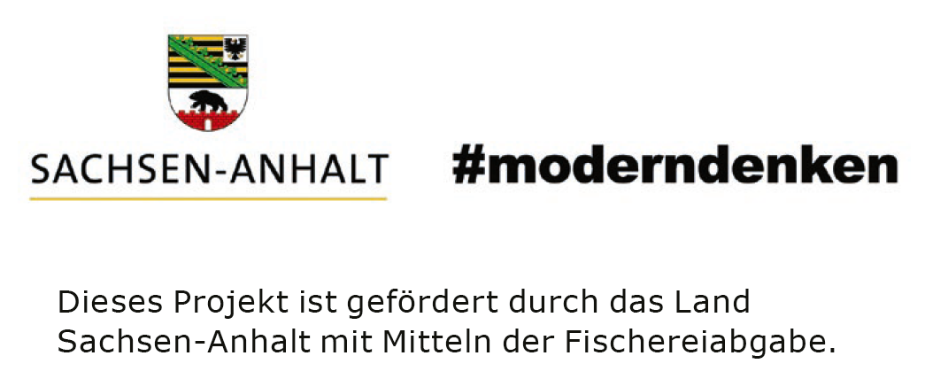 Landeslogo ST gefördert durch FA